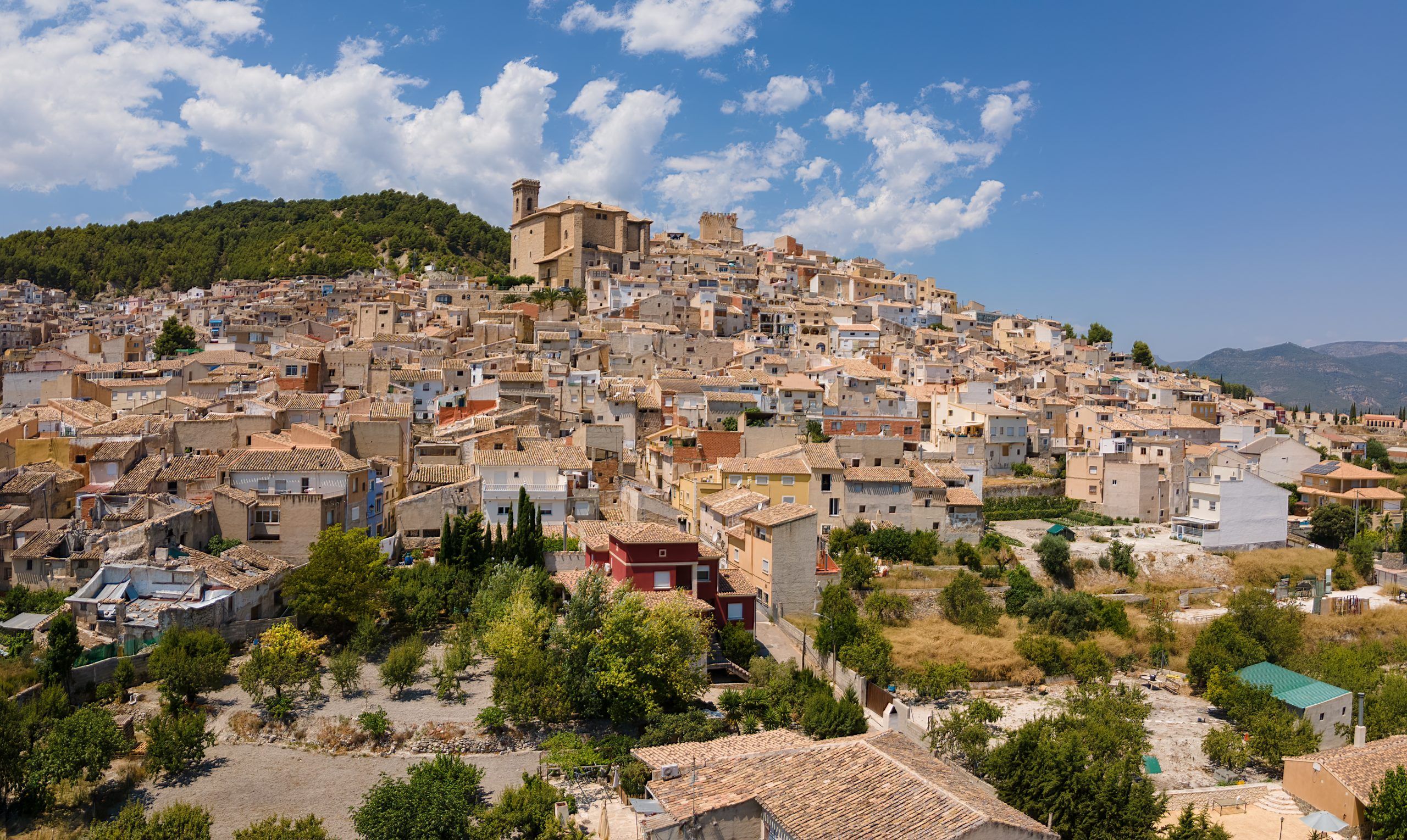 Moratalla 52305138081